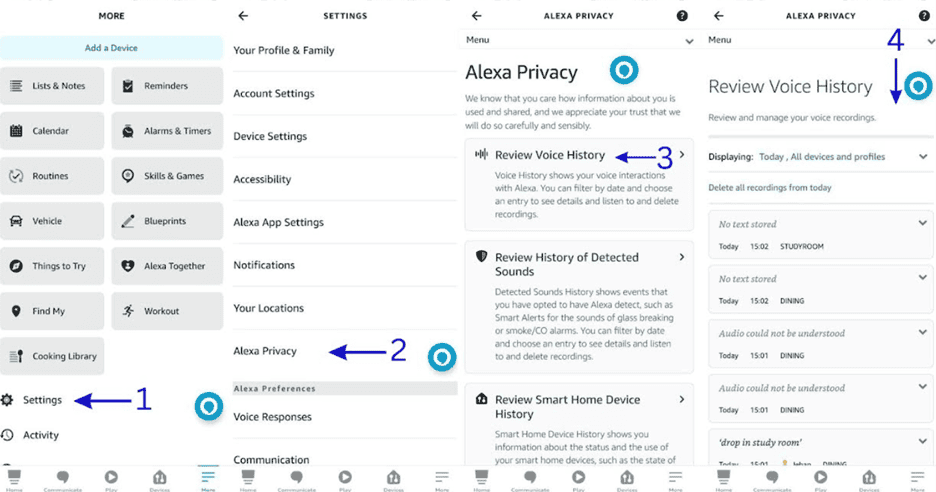 Check Voice Command History