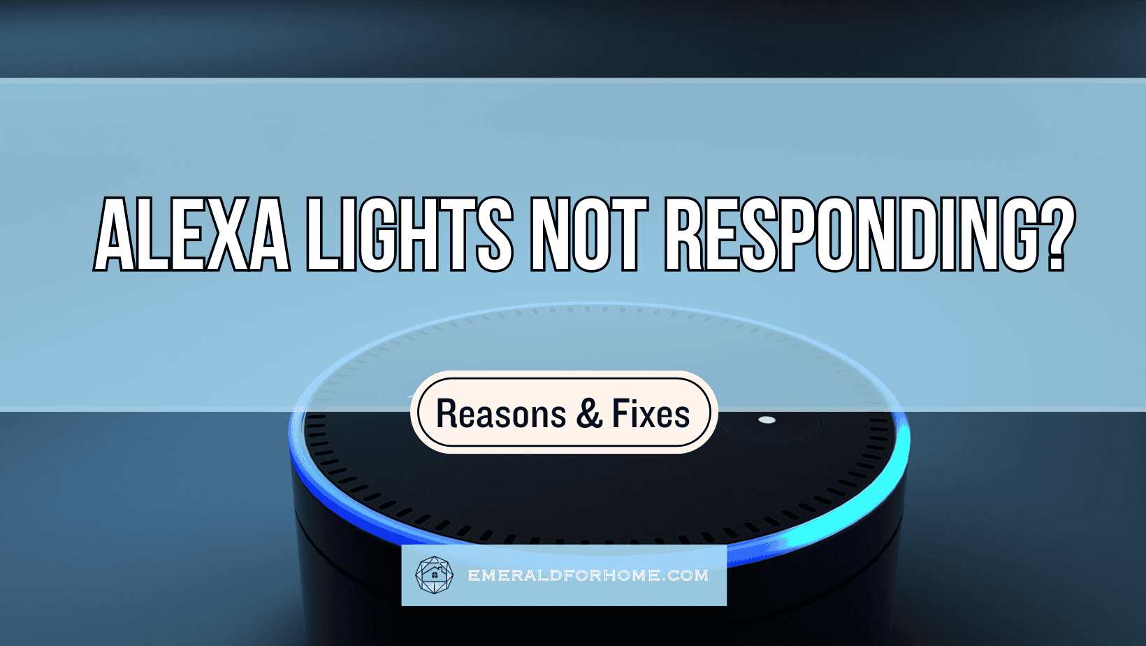 Alexa Lights Unresponsive [Common Reasons &amp; Fixes] - Rocky MTN Ruby